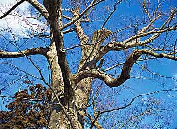 不止《生化危机》 外媒精选30款恐怖佳作