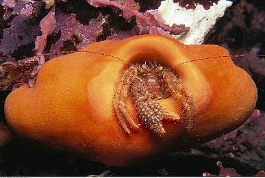 角色扮演游戏《中国式相亲2》公布 免费试玩开启